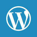wordpress（批发独立站）