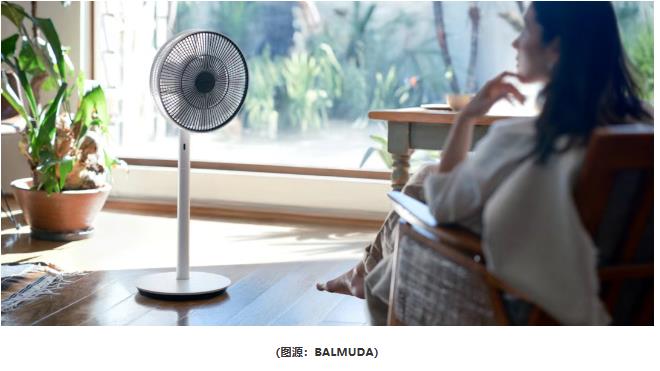 年入6亿,市占率第一!这一小家电品牌在红海突围