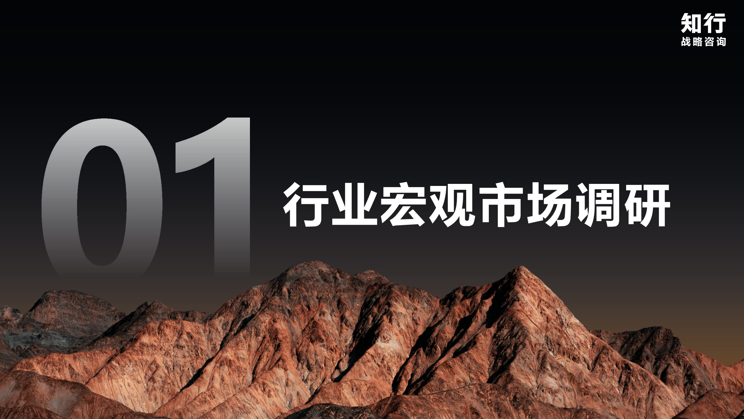 2026粽子品类报告