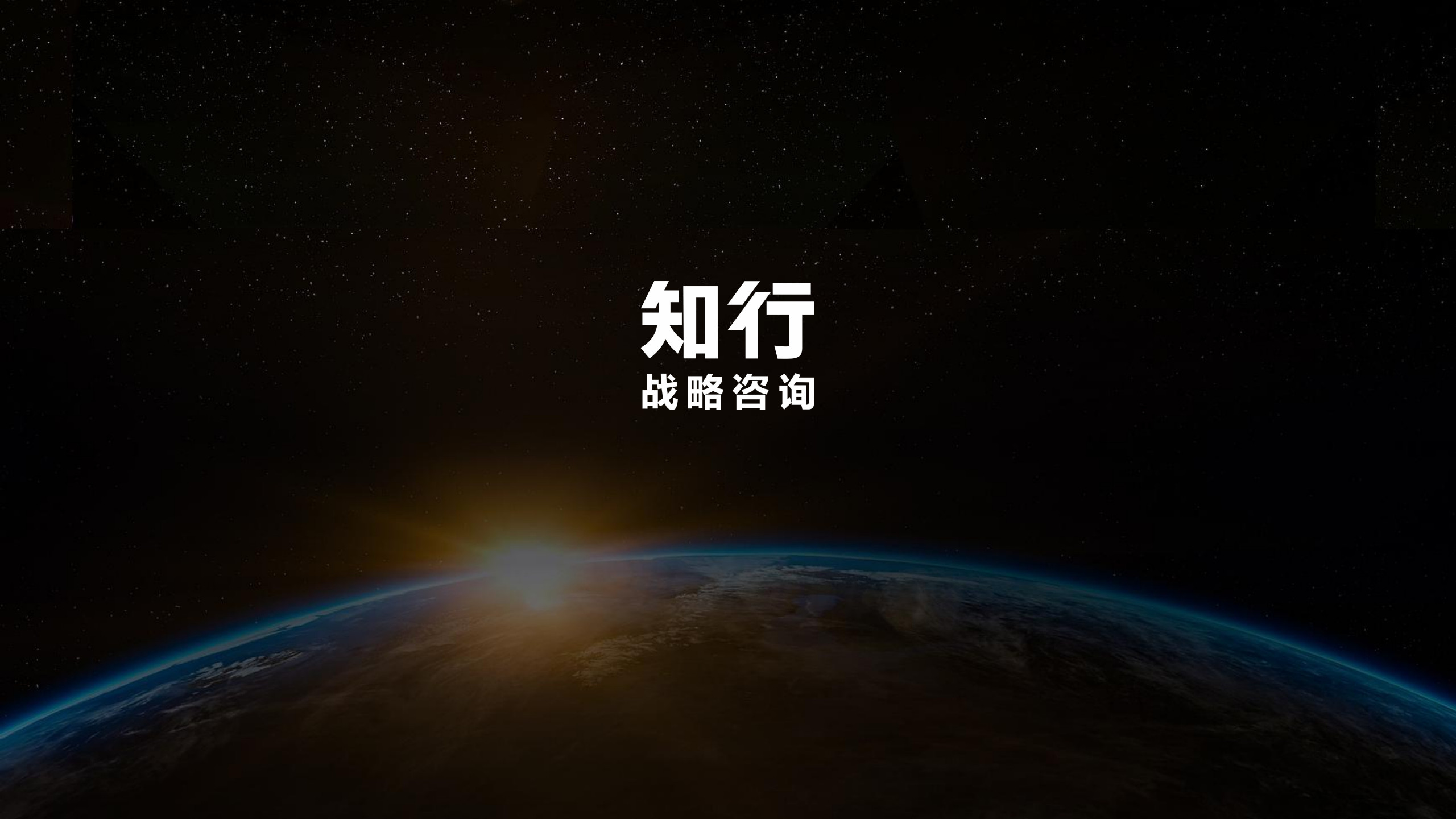 2026粽子品类报告