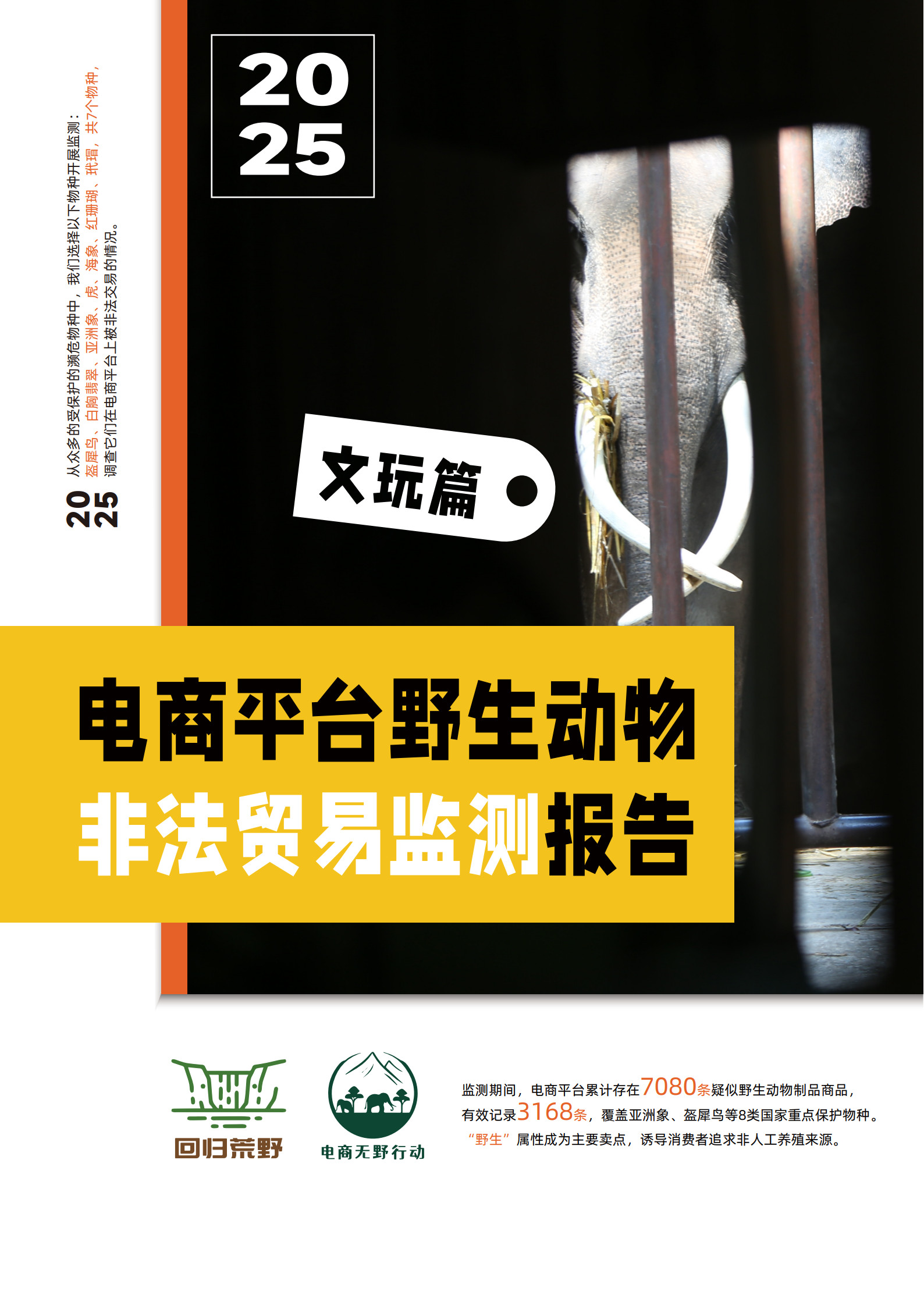 未来媒介 · 环境实验室：2025年电商平台野生动物非法交易检测报告（文玩篇）