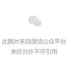 深圳展团强势赋能IEAE越南电子展,共筑行业新高度!